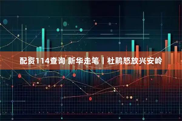 配资114查询 新华走笔丨杜鹃怒放兴安岭